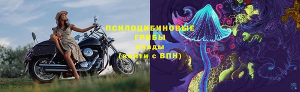 mdpv Лихославль